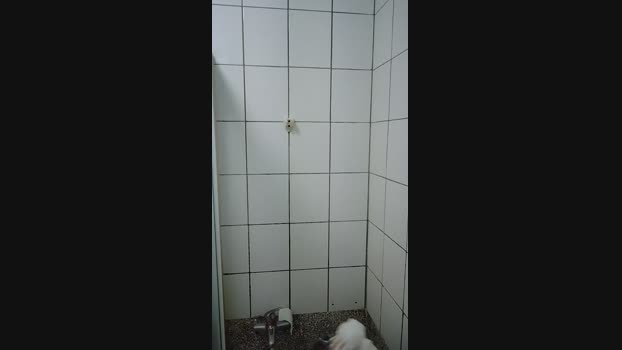 weimeixi 07-12-2024 Recorded Video moan