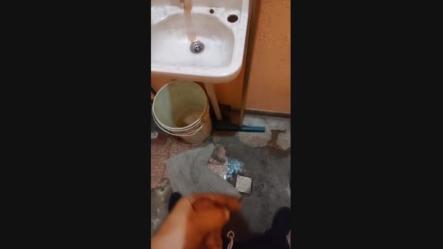 Alecasla2_Po
