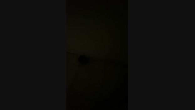 Allyson20345 08-12-2024 Recorded Video toy