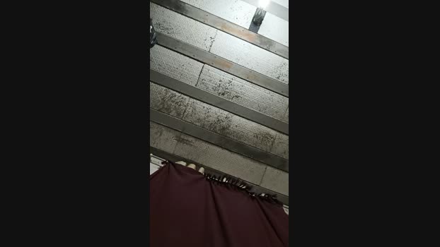 LaTrel021 08-12-2024 Recorded Video ass