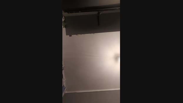 _Pollaloca 08-12-2024 Recorded Video big