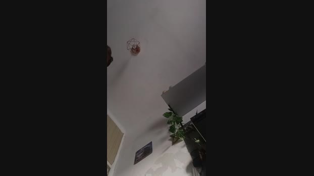_Pollaloca 08-12-2024 Recorded Video kissing