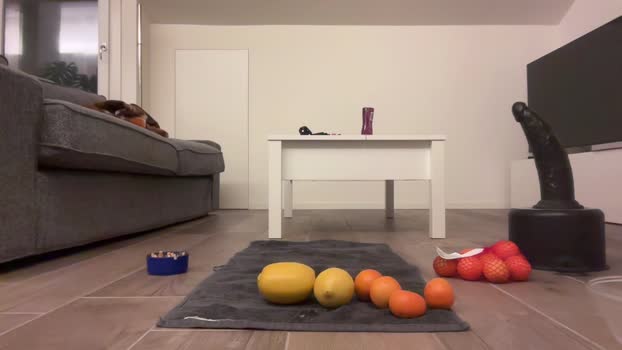 extremeanal 07-12-2024 Recorded Video sexymale