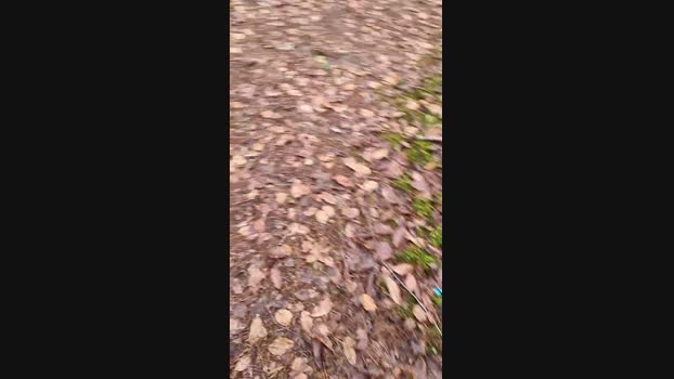 Outdoorgeil1 09-12-2024 Recorded Video fingering