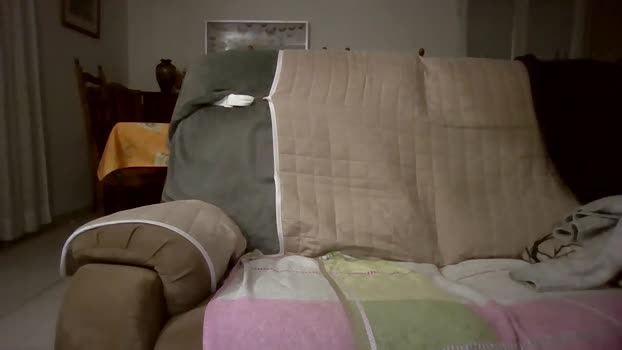 cybear 09-12-2024 Recorded Video orgasm