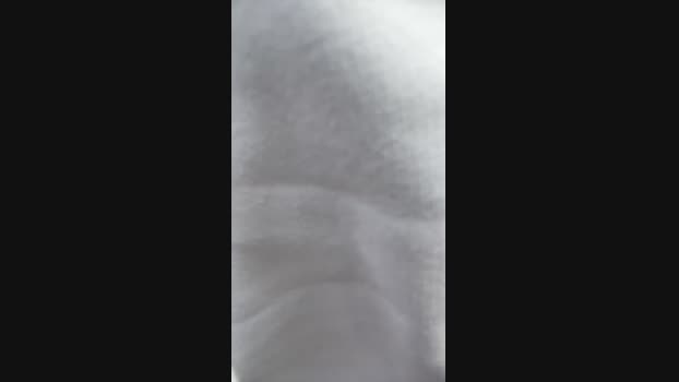 loomshab2 09-12-2024 Recorded Video Nude