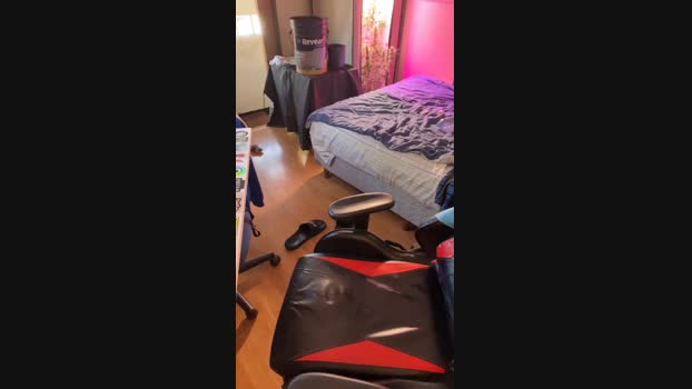 modelpedroxxx 08-12-2024 Recorded Video amateur
