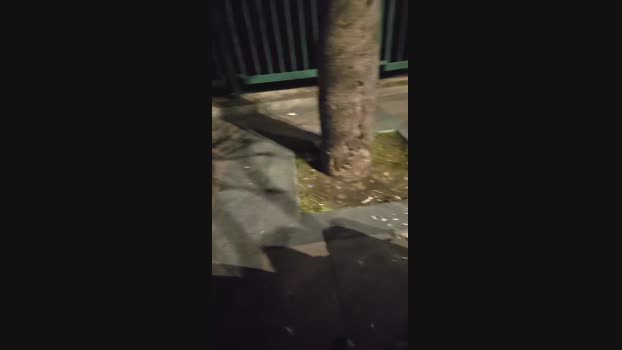 pollen_07 08-12-2024 Recorded Video jerking
