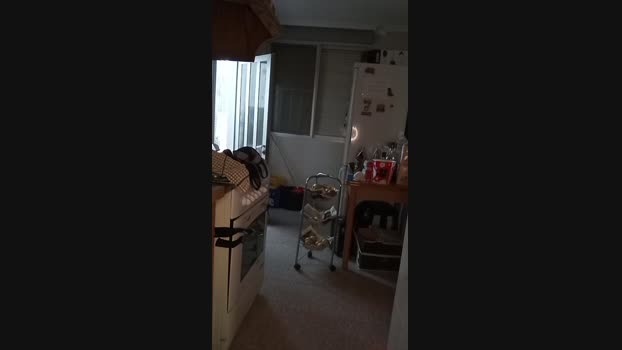 Ramar_morbazo 10-12-2024 Recorded Video bj-dildo