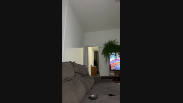 Casall01 11-12-2024 Recorded Video sex