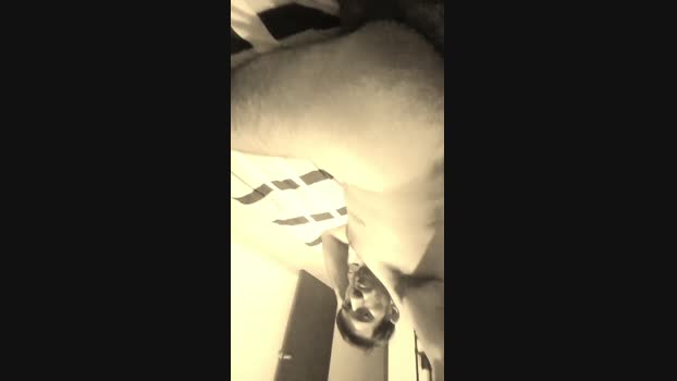 Migueladastl05 11-12-2024 Recorded Video suckcock