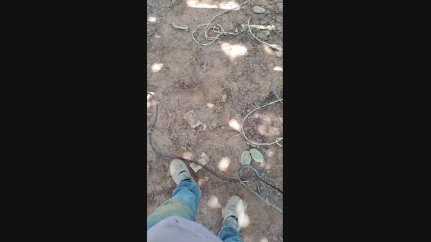 Ribeirosiebes 11-12-2024 Recorded Video jerkoff