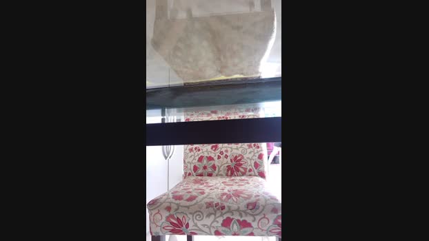 Uber_dotCwb 11-12-2024 Recorded Video strip