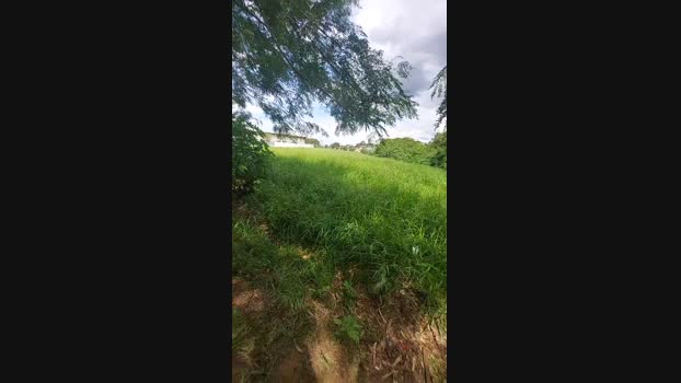 jao_magrao 10-12-2024 Recorded Video beautiful