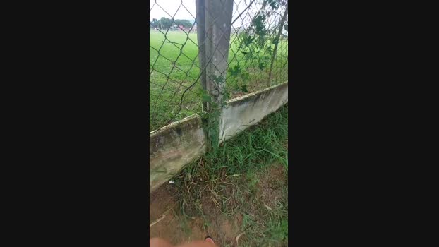 jao_magrao 10-12-2024 Recorded Video nasty