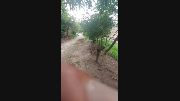 jao_magrao 10-12-2024 Recorded Video hard