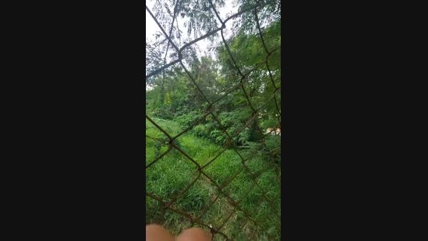 jao_magrao 10-12-2024 Recorded Video big