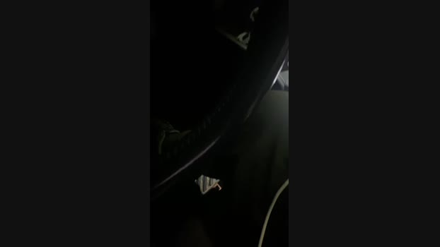 likescock5 11-12-2024 Recorded Video big