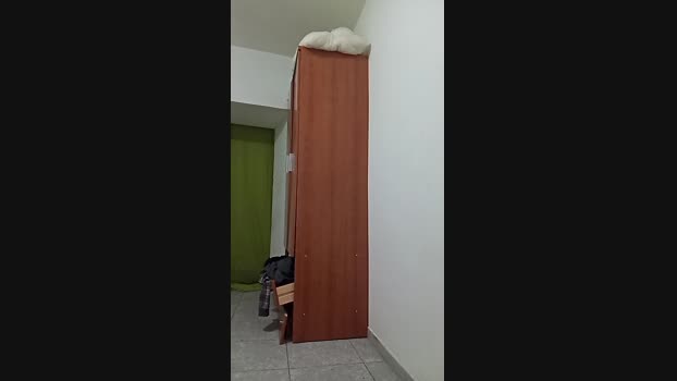 parejitamad2