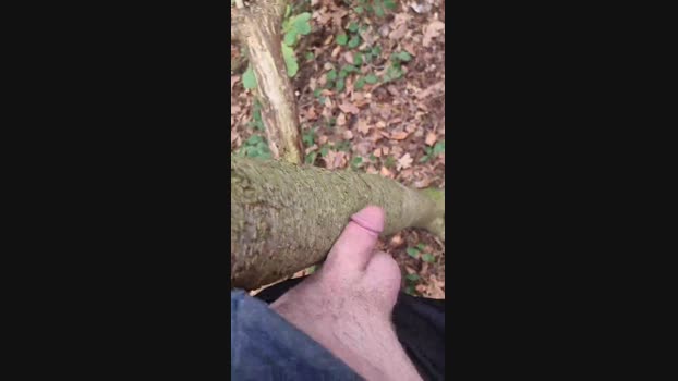 Outdoorgeil1 12-12-2024 Recorded Video Recorded