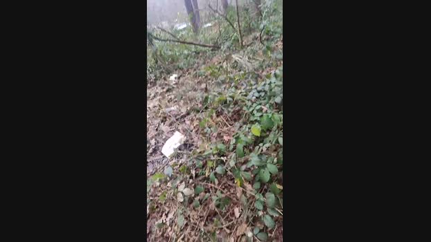 Outdoorgeil1 12-12-2024 Recorded Video Ass
