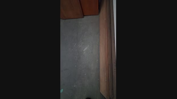 Vanluiz28 12-12-2024 Recorded Video deepthroat