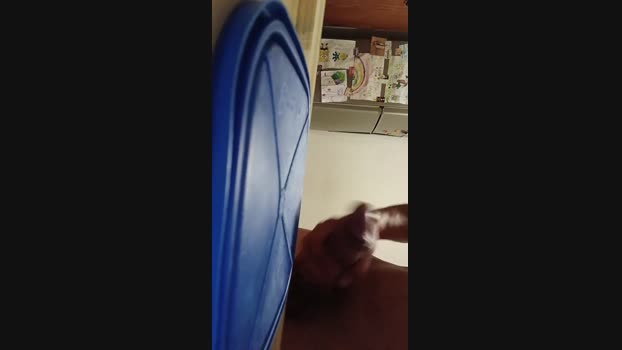 carp36 12-12-2024 Recorded Video Ass