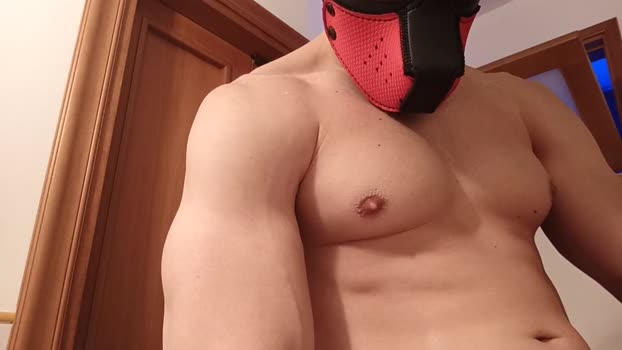 Frabroker 13-12-2024 Recorded Video gay