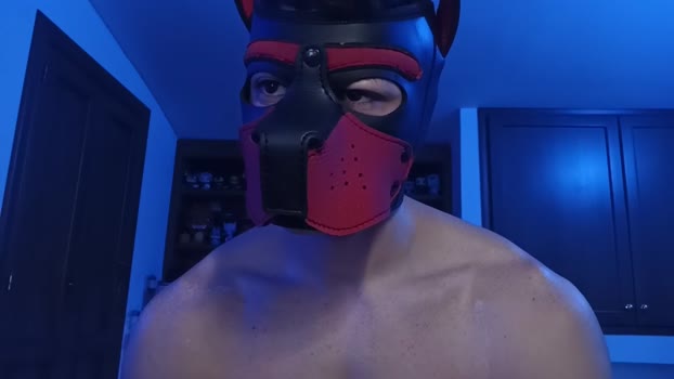 Frabroker 13-12-2024 Recorded Video lovense
