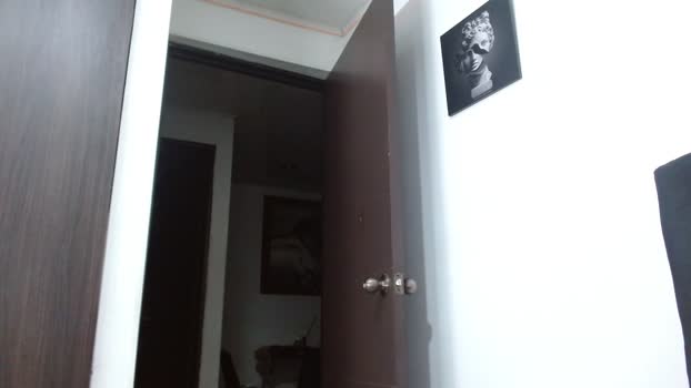 Hendry_ 14-12-2024 Recorded Video toys