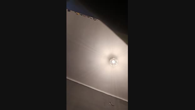 _Pollaloca 14-12-2024 Recorded Video sexybody