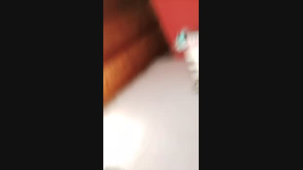 27431axel 14-12-2024 Recorded Video bigcock