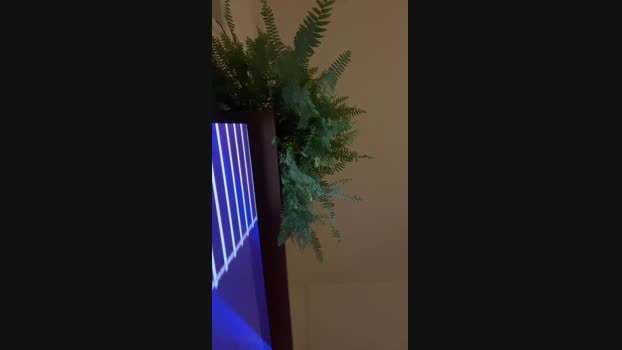 Casall01 15-12-2024 Recorded Video bigcock