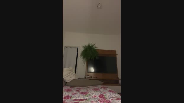 Casall01 15-12-2024 Recorded Video big