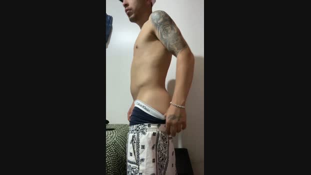 GioTgC 15-12-2024 Recorded Video legs