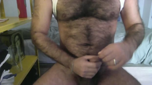 maestroy 15-12-2024 Recorded Video bigtoys