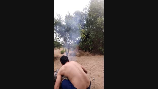 potro137 15-12-2024 Recorded Video cute