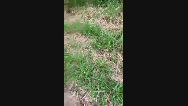 sid_bila 14-12-2024 Recorded Video hard