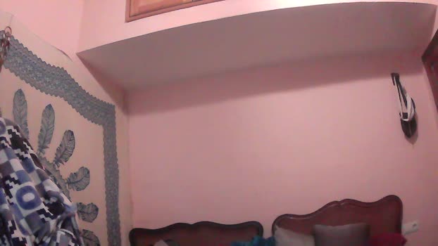 Dogtrainingay 16-12-2024 Recorded Video big