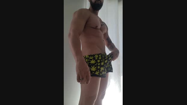mnBrown 16-12-2024 Recorded Video bigtoys