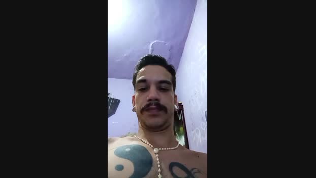 GatoXVD