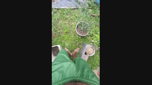 Ksadoafim69 16-12-2024 Recorded Video hardcore