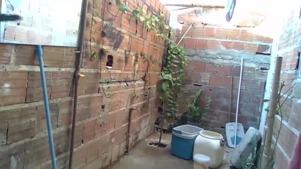edysilva2051 16-12-2024 Recorded Video deep