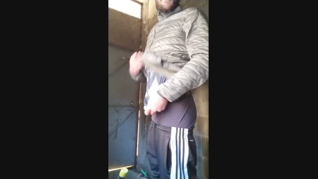 AnthoPassif8484