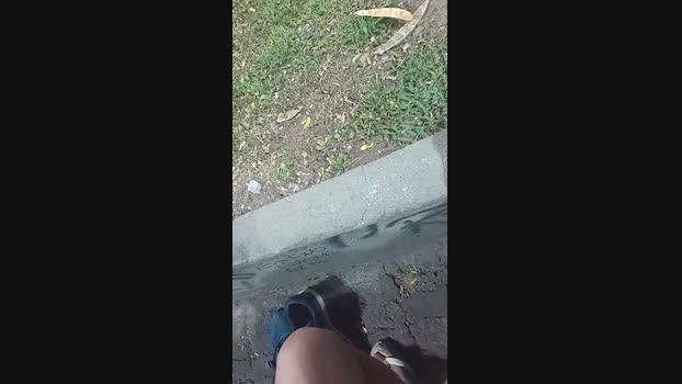 Bigode22cm 18-12-2024 Recorded Video big