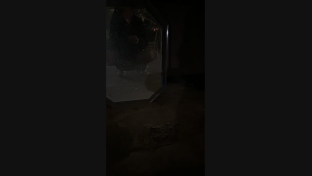 Hasusu 18-12-2024 Recorded Video kink