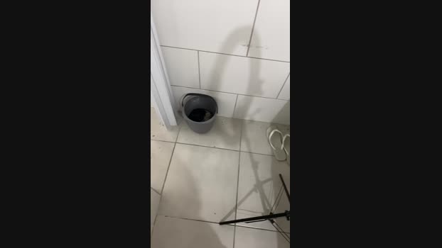 LeoBessler 17-12-2024 Recorded Video fuckface