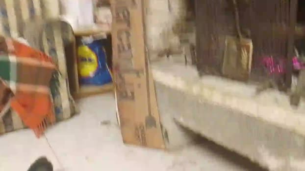 bossboston 18-12-2024 Recorded Video gag
