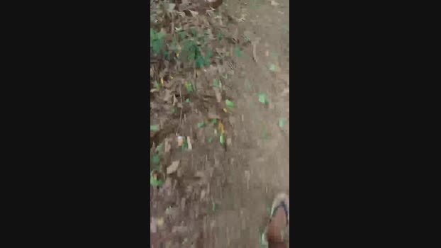 clebsoninaho 17-12-2024 Recorded Video moan