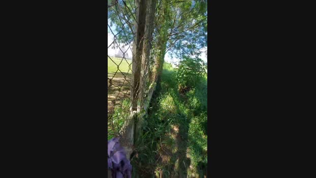 jao_magrao 17-12-2024 Recorded Video playtime